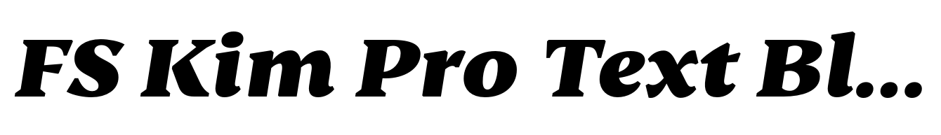 FS Kim Pro Text Black Italic